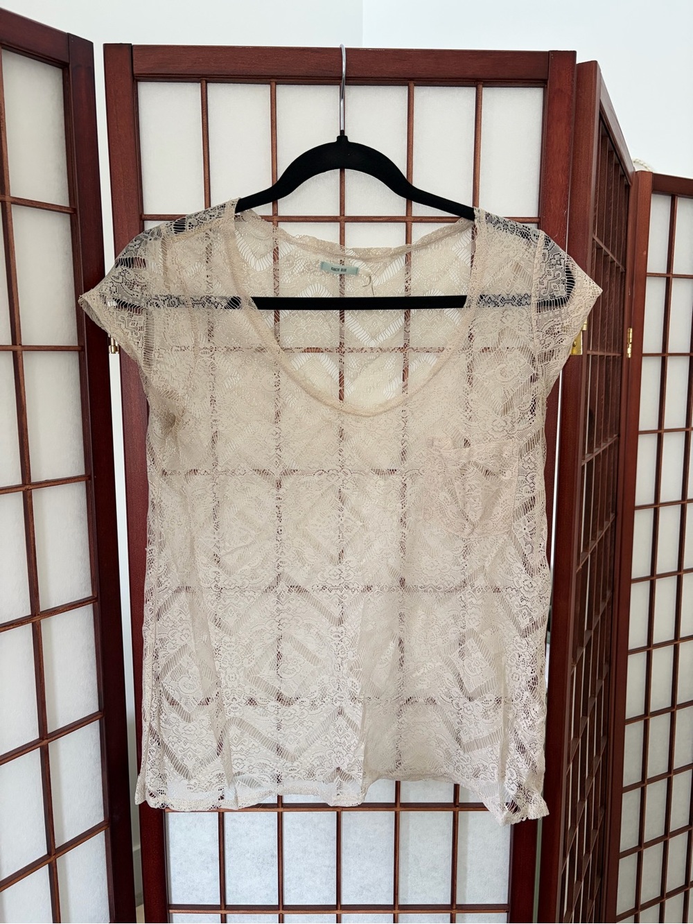 Kimchi Blue Beige Lace Short-Sleeve Sheer Top